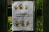 Ein Garten fr die Bienen