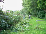 der Haselnuhecke